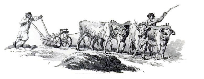 ploughing